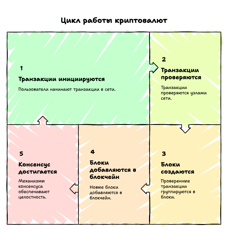 Цикл работы криптовалют
