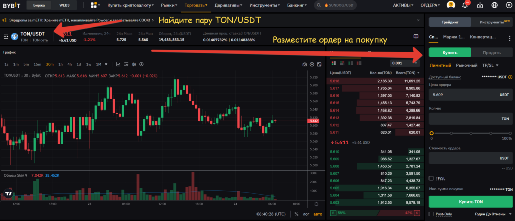 Покупка TON на Бирже Bybit