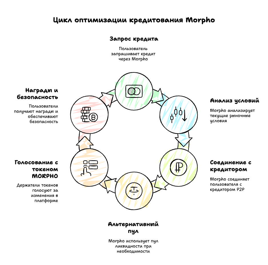Цикл кредитования Morpho